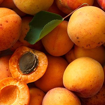 Apricot Kernel Oil - 100ml - Atelier Detail View 1