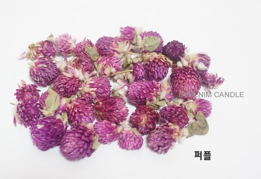 Dried Flower -(Gomphrena Globosa ) Orange (10g) - Atelier Detail View 1