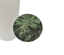 Herbal - 100ml - Atelier Detail View 1