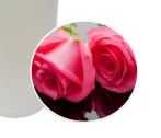 Rose100ml - 100ml - Atelier Detail View 1
