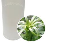 Citronella - 100ml - Atelier Detail View 1
