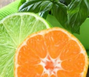 Lime Basil & Mandarin - 100ml (Swiss Cosmo) - Atelier Detail View 1