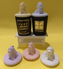 Product Showcase Detail