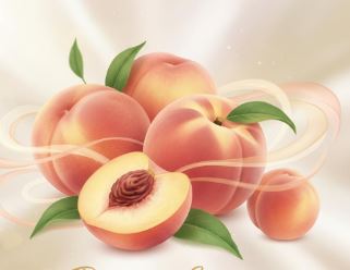Gel Candle Combination Incense Peach - 100ml - Atelier Detail View 1
