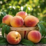 Gel Candle Combination Incense) Peach 100ml