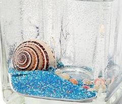 Candle Accessory SY017 - Sundial Snail (Pack of 20) - Atelier Detail View 1