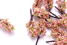 Miniature SY007 - Pink Flower Tree 1pc - Atelier Detail View 2
