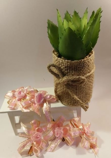 Product Showcase Detail