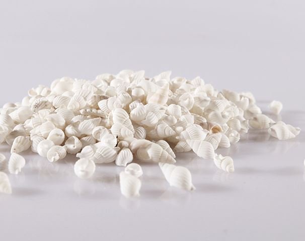 (Mini Shell) White -50g - Atelier Detail View 1