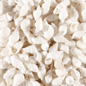 (Mini Shell) White -50g - Sydney Byulnimassi Artisan Craft Supplies