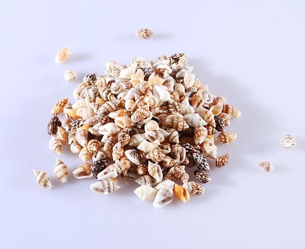 (Seashell) Brown Blend -50g - Atelier Detail View 1