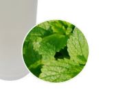 White Jasmine & Mint - 100ml - Atelier Detail View 1