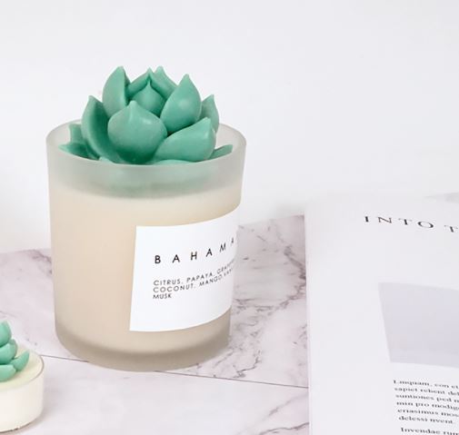 Flower Succulents (MH234) - Atelier Detail View 2