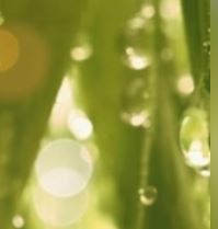 Silver Mountain Water - 100ml (Cosmo) - Atelier Detail View 1